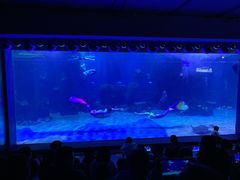 -石家庄海洋公园