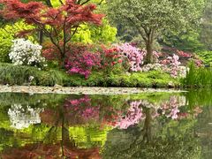 -杭州植物园
