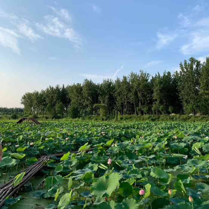 三汊河国家湿地公园