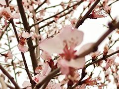 -三里河公园
