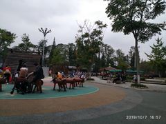 -成飞公园