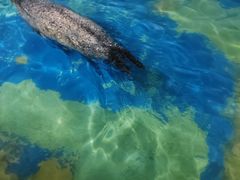 -太平洋海底世界