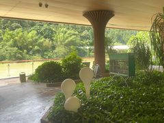 -碧水湾温泉