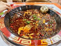 -烧哥美蛙肥肠鱼火锅·十五年社区店