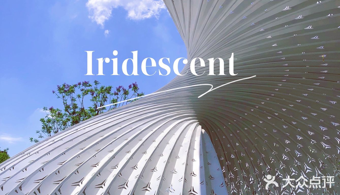 重庆小众秘摄｜0元打卡光环广场巨型钢铁鹦鹉螺