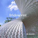 重庆小众秘摄｜0元打卡光环广场巨型钢铁鹦鹉螺