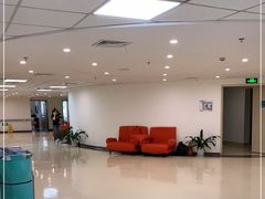 -上海市东方医院(总院)