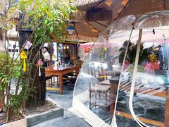 -小小饭店·休闲农庄·安吉松树林里的农家菜