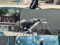 -宁波野生动物园