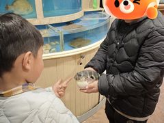 -天正河鲀·河豚亭(大连店)