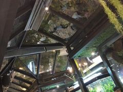 -The Dishes Seafood & Restaurant