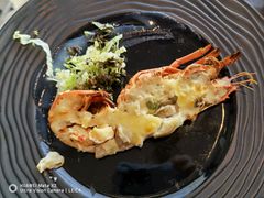 -Social 秀西餐厅-长沙瑞吉酒店(运达店)