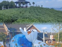 -黔灵山公园