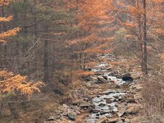 -秦岭风景区