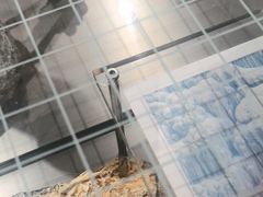 -ARC'TERYX始祖鸟(北京王府中环店)