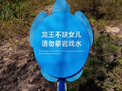 -广东惠东海龟国家级自然保护区