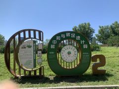 -莲花池公园