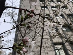 -韩礼年糕(飞虹路店)