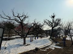 -蓟洲国际滑雪场