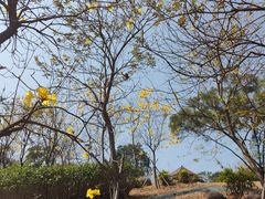 -中国移动南方基地