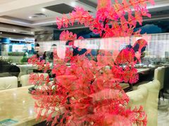-海大大蒸汽海鲜餐厅·粤菜·特色小炒(欢乐颂店)