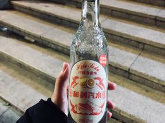 -武汉知音号