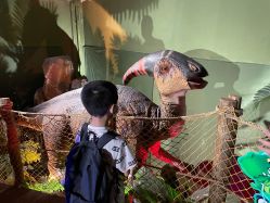 -恐龙探索乐园(磁器口店)