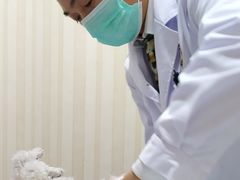 -宠爱国际动物医院·疑难骨科·心肾内科·皮肤科(太阳宫店)