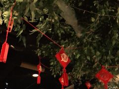 -美联众合动物医院(唯恩分院)