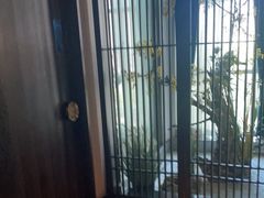 -见康道莱•足浴按摩•艾灸•SPA(友谊店)