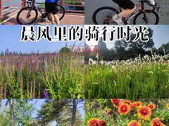 -绿堤公园