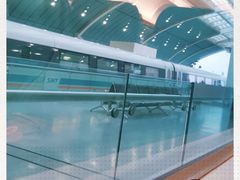 -龙阳路磁悬浮列车总站-停车场