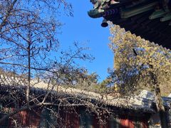 -潭柘寺景区