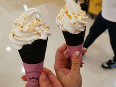 椰子冰淇淋-大头椰·椰子鸡火锅(南宁万象城店)