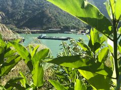 -羚羊峡古栈道森林公园