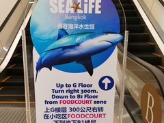 -暹罗海洋世界