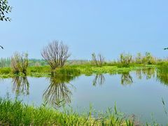 -野鸭湖国家湿地公园