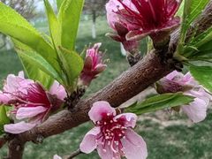 -汉长安城未央宫国家考古遗址公园