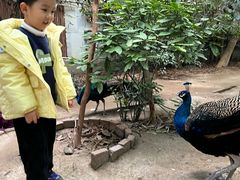 -呀路古热带植物园