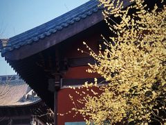 -钱王祠