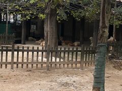 -南昌动物园