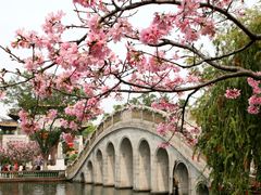 -宝墨园景区