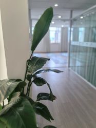 -爱尔乐美孕产瑜伽·普拉提