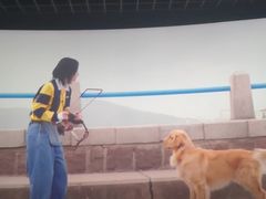 -万达影城(唐山爱琴海XLAND店)