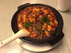 -陈麻婆豆腐总店