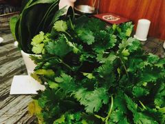 香菜-大渔小鲜火锅店