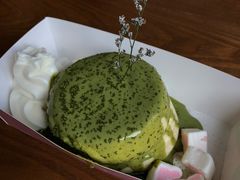 -狐狸和向日葵(北京路店)