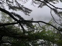 -陕西省红河谷森林公园