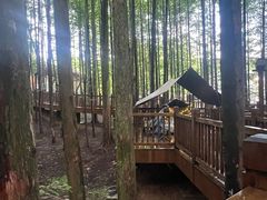 -山王坪喀斯特国家生态公园
