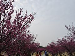 -长广溪湿地公园